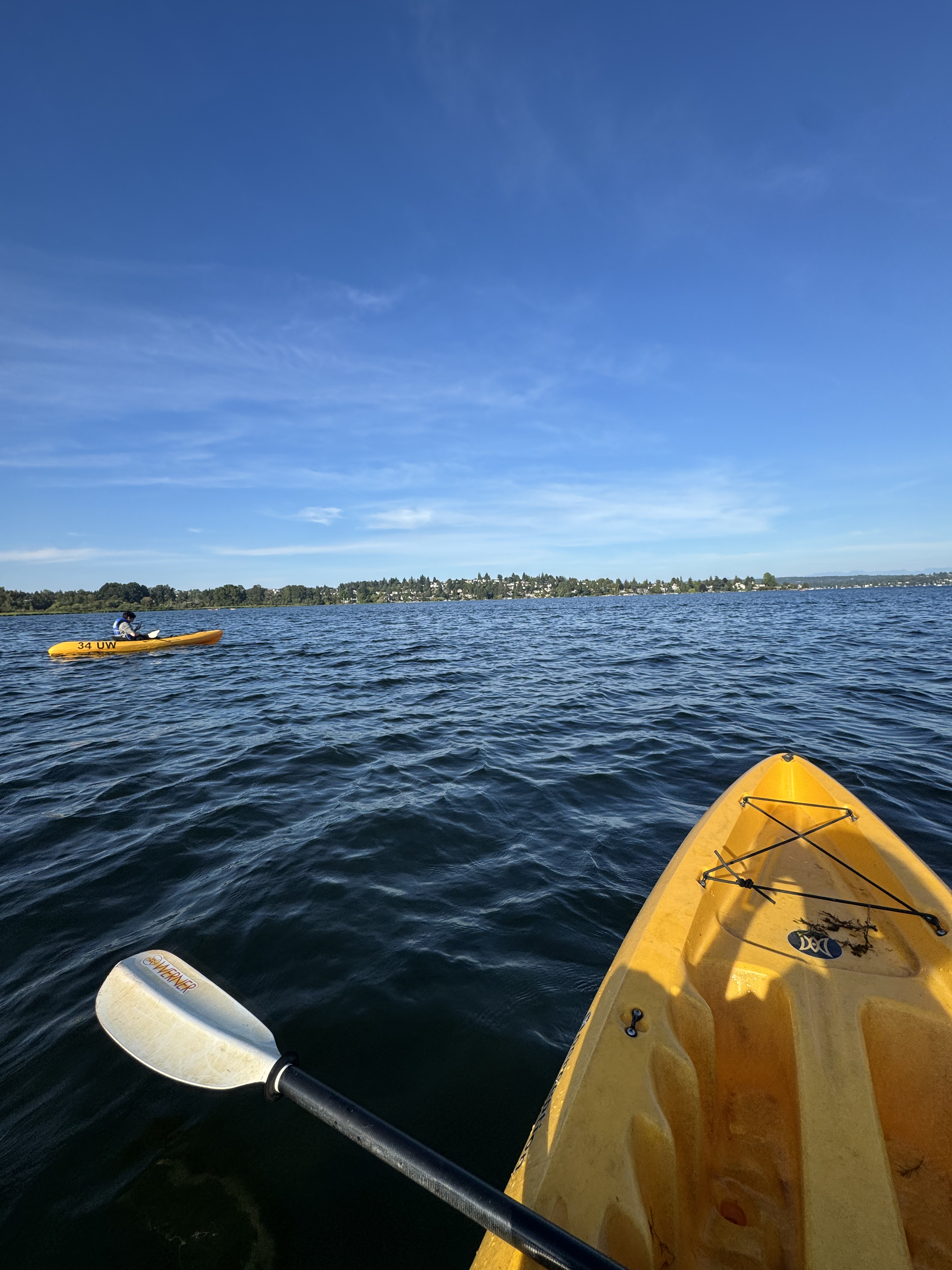 Kayaking near Seattle