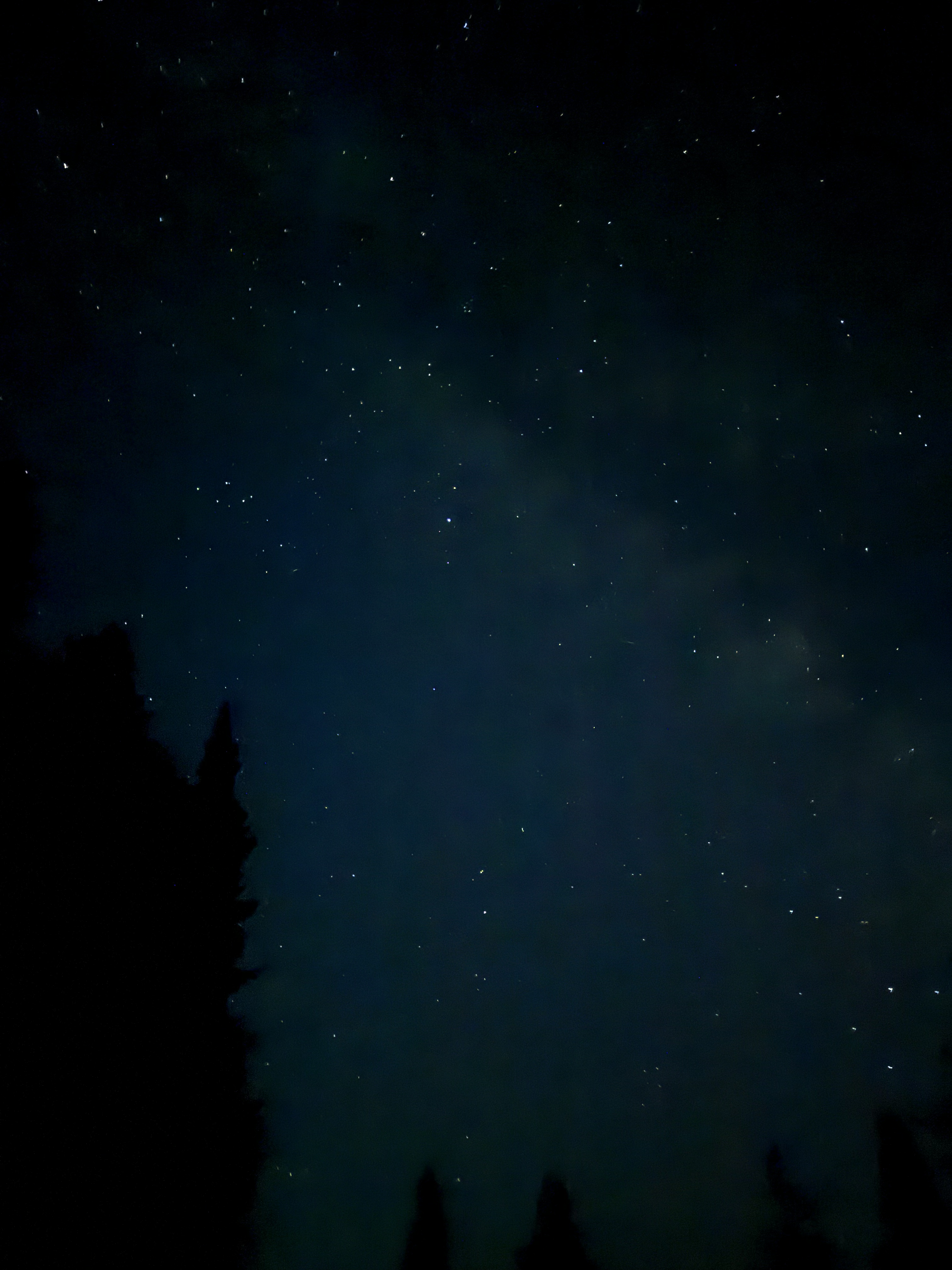 Night sky